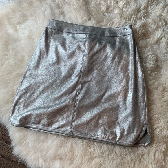 Highline Silver Skirt - Picture 3 of 5